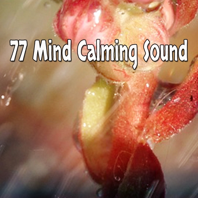 Couverture de 77 Mind Calming Sound