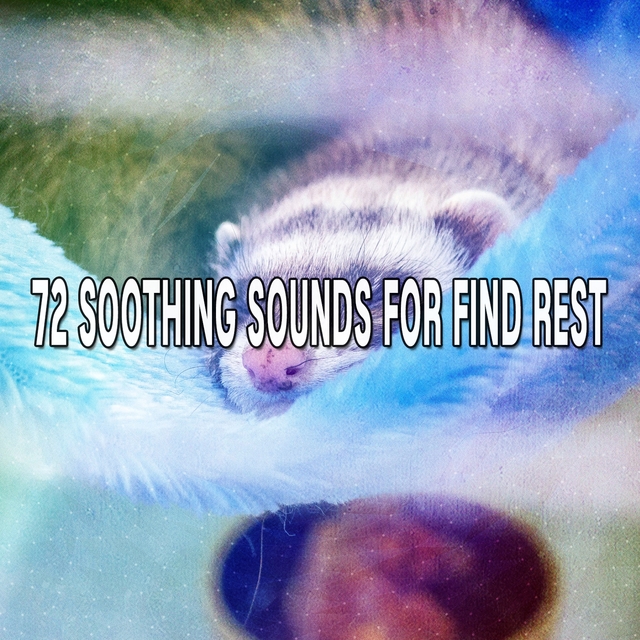 Couverture de 72 Soothing Sounds For Find Rest