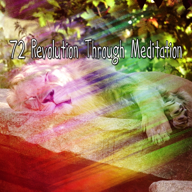 Couverture de 72 Revolution Through Meditation