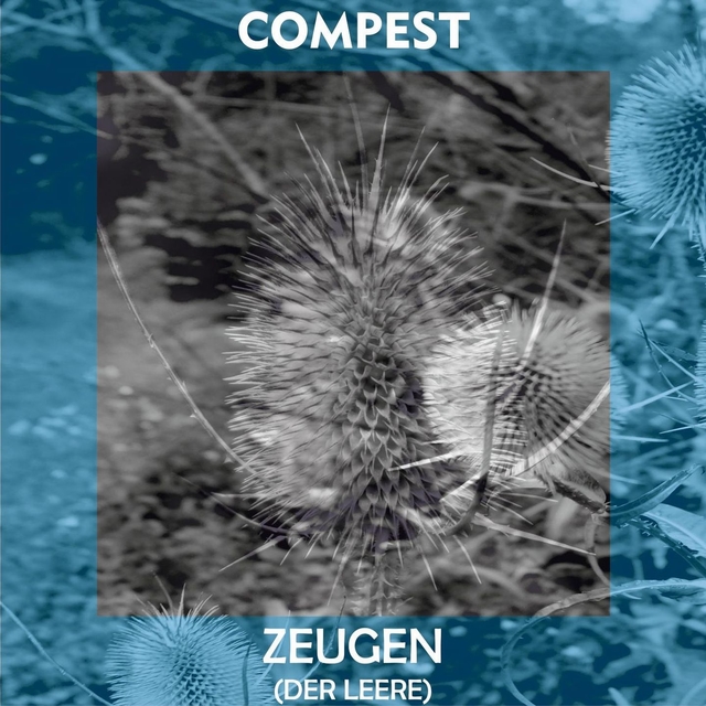 Couverture de Zeugen