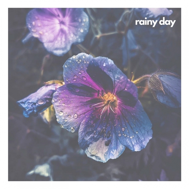 Couverture de Rainy Day