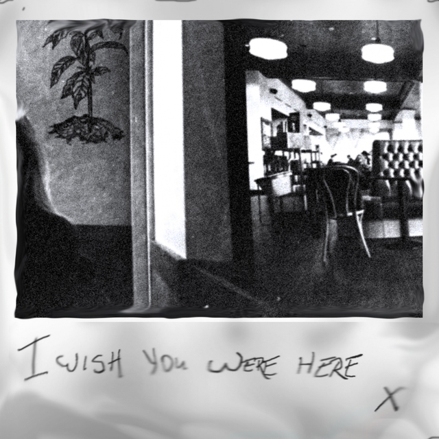 Couverture de I Wish You Were Here