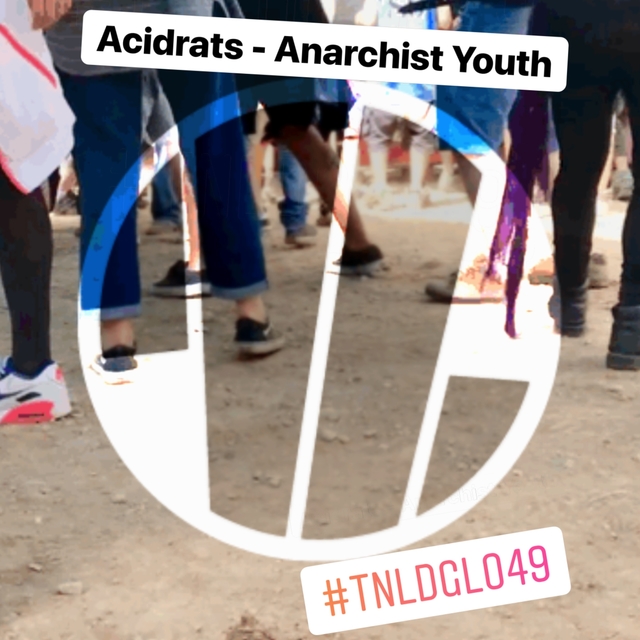 Couverture de Anarchist Youth