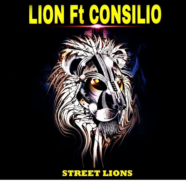 Couverture de Street Lions