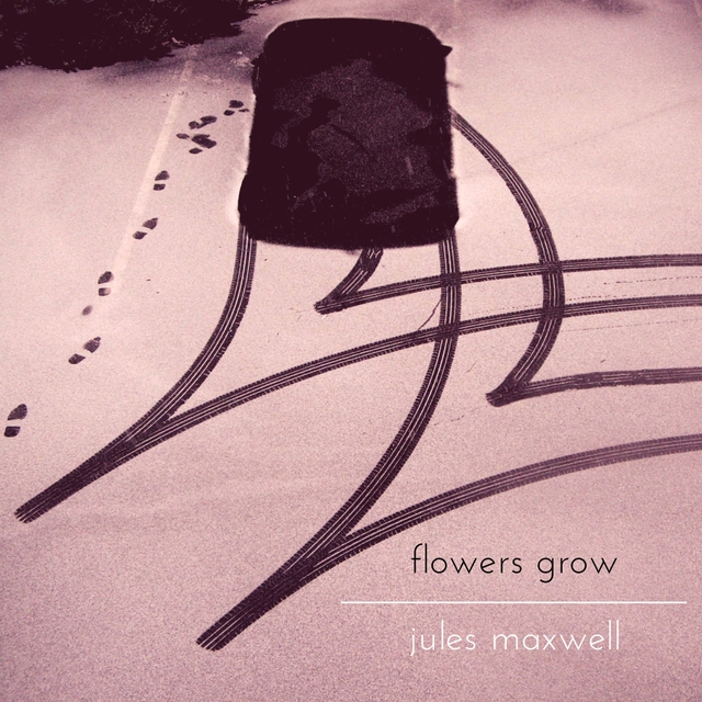 Couverture de Flowers Grow