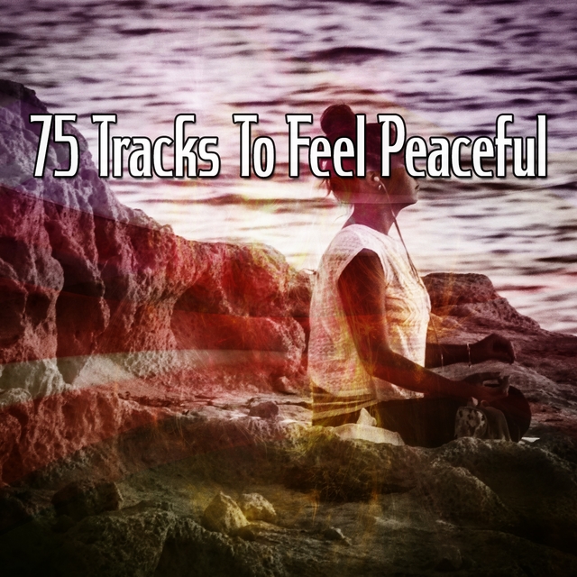 Couverture de 75 Tracks To Feel Peaceful