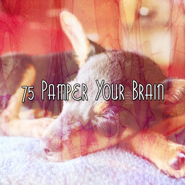 Couverture de 75 Pamper Your Brain