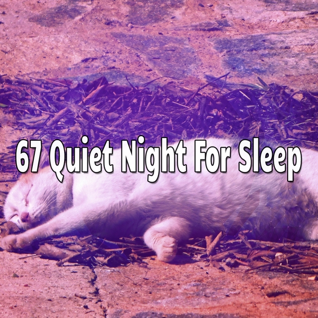 Couverture de 67 Quiet Night For Sleep