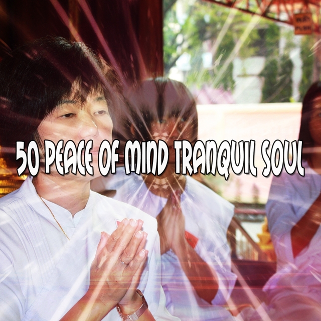 Couverture de 50 Peace Of Mind Tranquil Soul