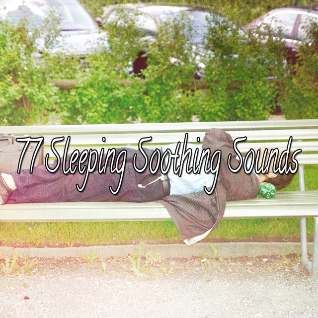 Couverture de 77 Sleeping Soothing Sounds