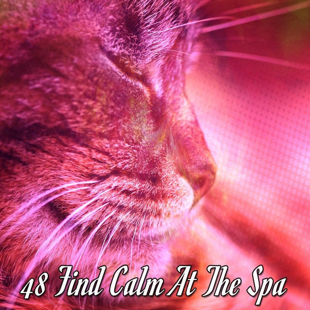 Couverture de 48 Find Calm At The Spa