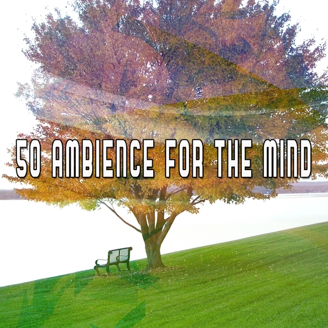 50 Ambience For The Mind