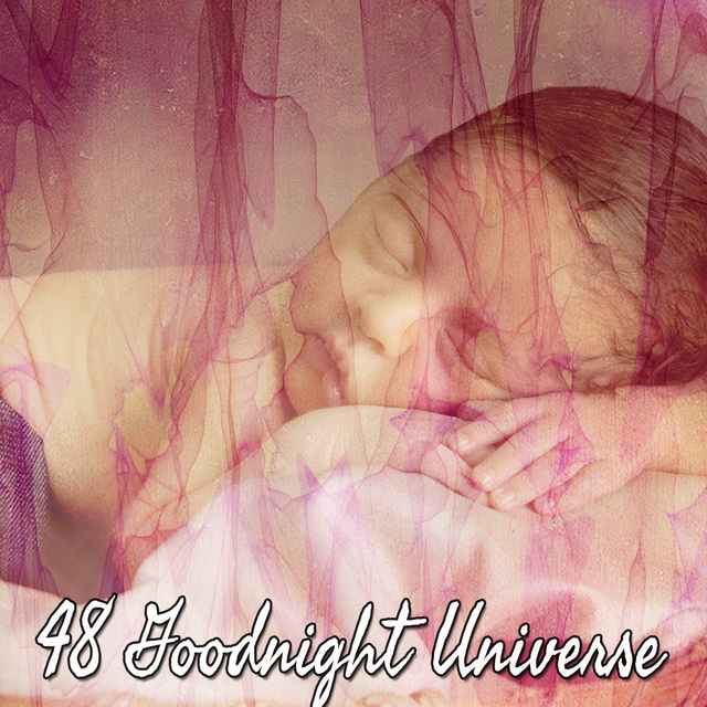 Couverture de 48 Goodnight Universe