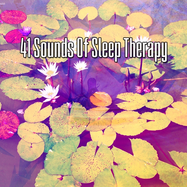 Couverture de 41 Sounds Of Sleep Therapy