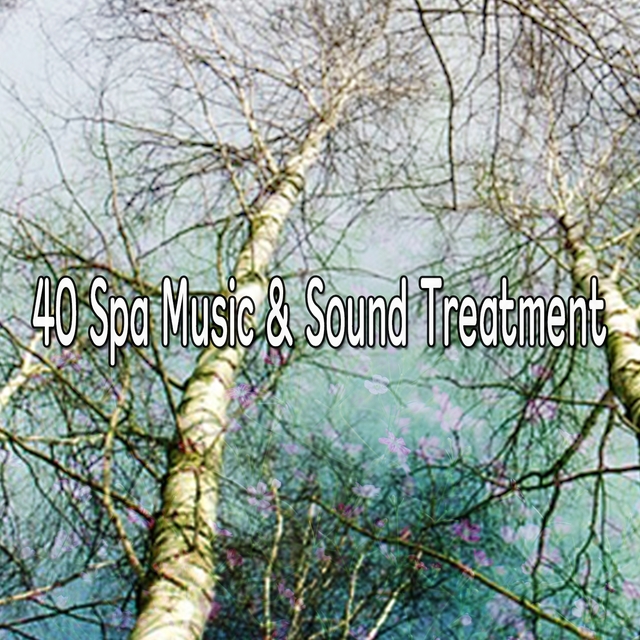 Couverture de 40 Spa Music & Sound Treatment