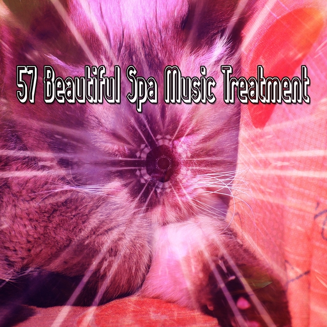 57 Beautiful Spa Music Treatment