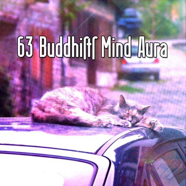 63 Buddhists Mind Aura