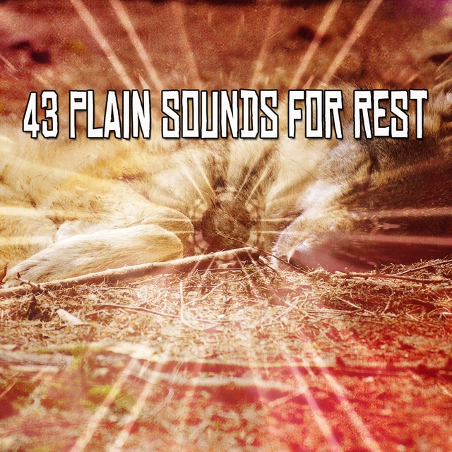 43 Plain Sounds For Rest