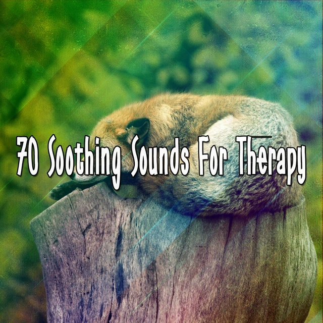 Couverture de 70 Soothing Sounds For Therapy