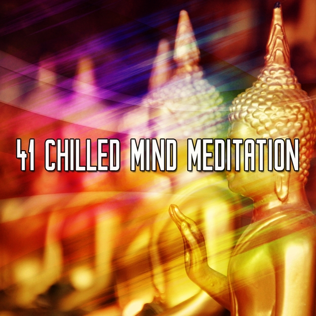 Couverture de 41 Chilled Mind Meditation