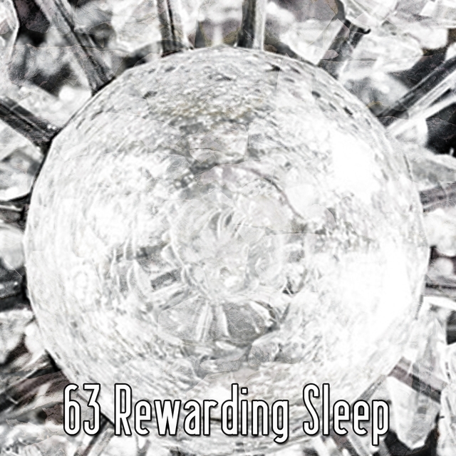 63 Rewarding Sleep