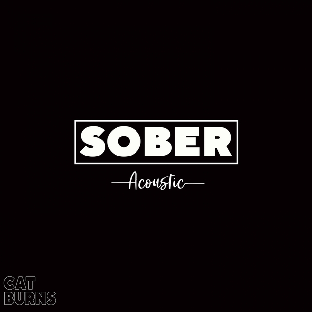 Couverture de Sober