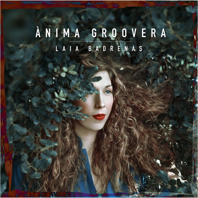 Couverture de Ànima Groovera