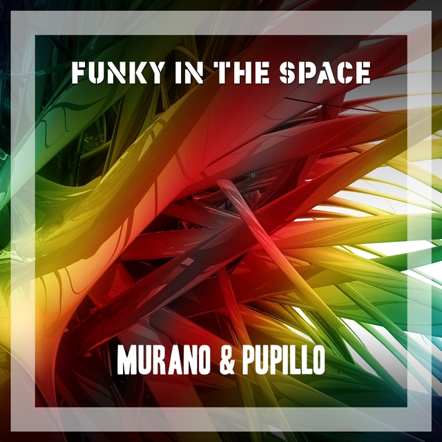 Couverture de Funky in the Space