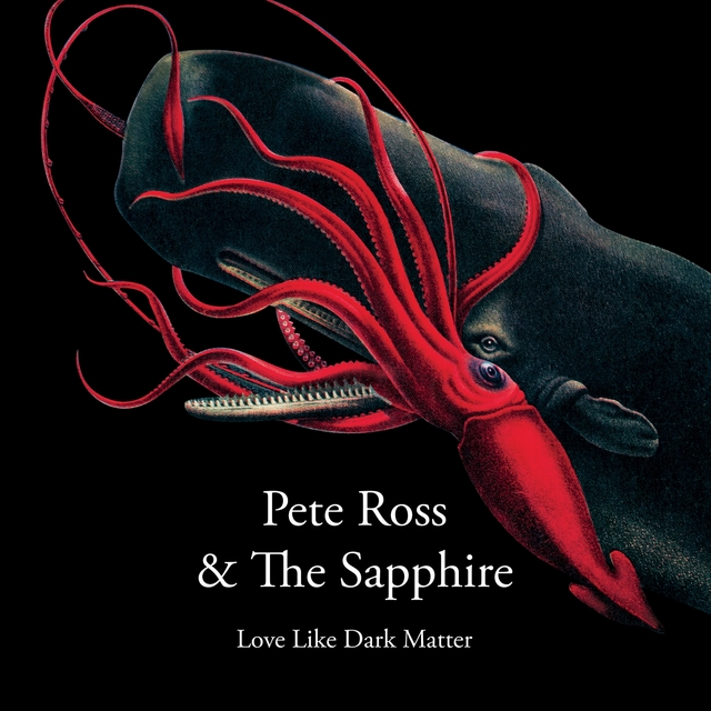 Couverture de Love Like Dark Matter