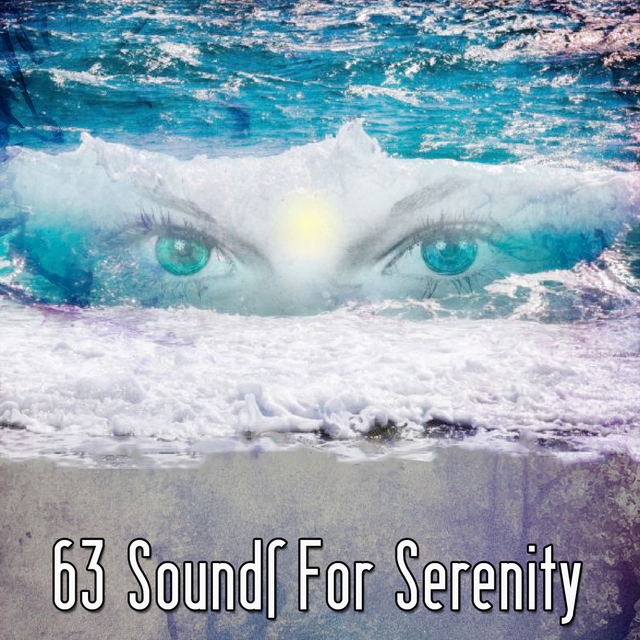 Couverture de 63 Sounds For Serenity