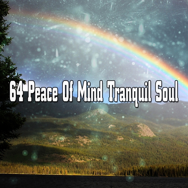 Couverture de 64 Peace Of Mind Tranquil Soul