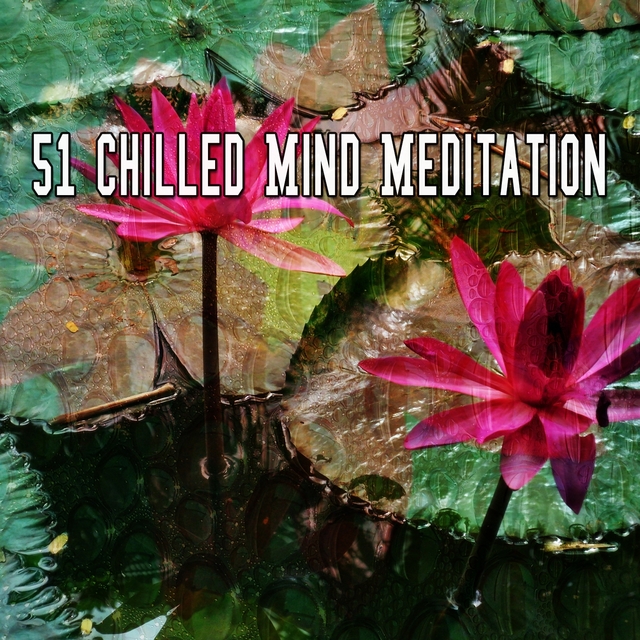 51 Chilled Mind Meditation