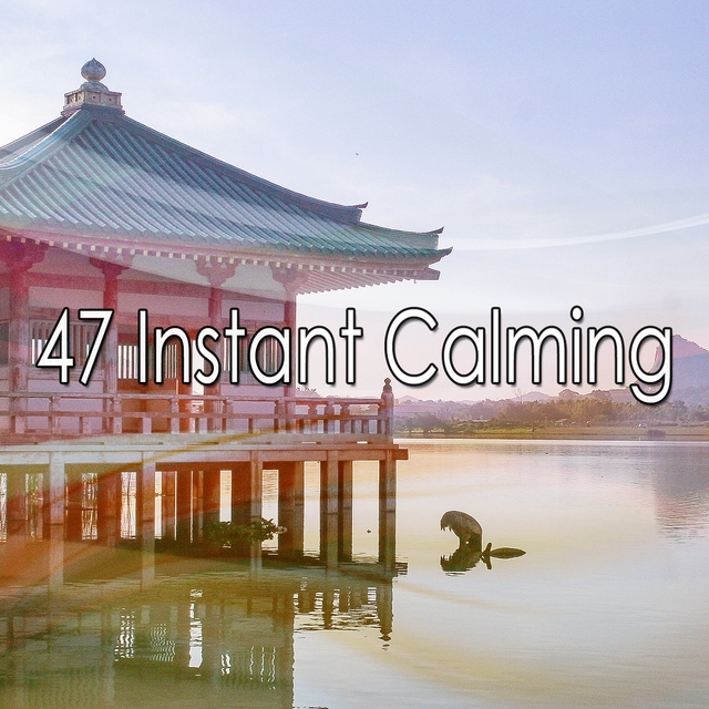 Couverture de 47 Instant Calming