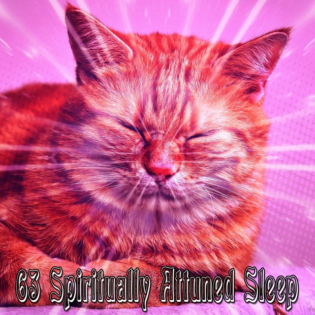 Couverture de 63 Spiritually Attuned Sleep