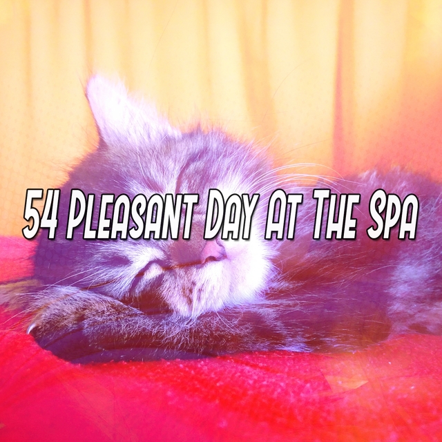 Couverture de 54 Pleasant Day At The Spa