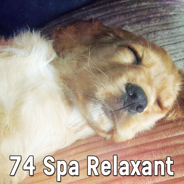 74 Spa Relaxant