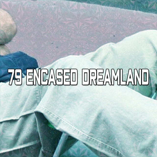 79 Encased Dreamland