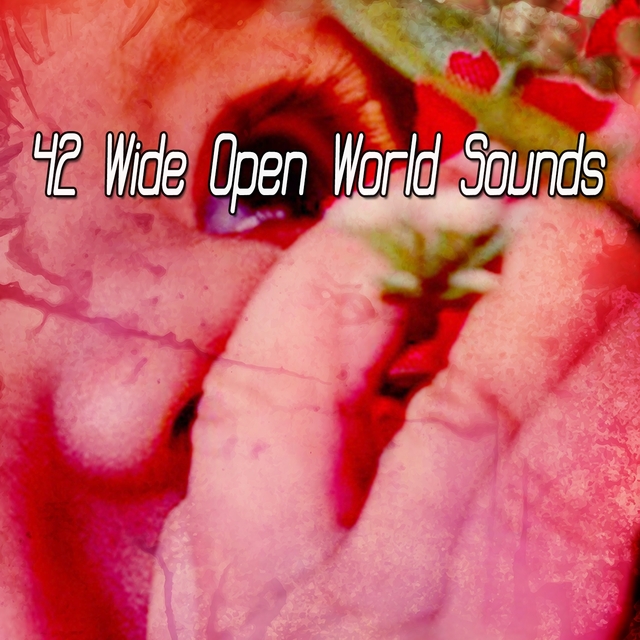 Couverture de 42 Wide Open World Sounds