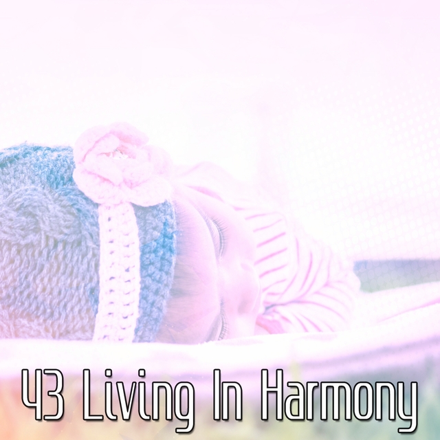 43 Living In Harmony