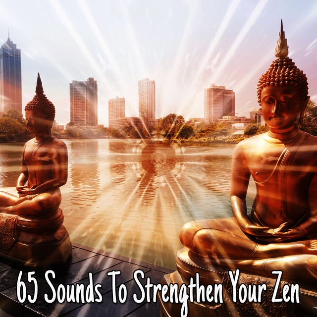 Couverture de 65 Sounds To Strengthen Your Zen