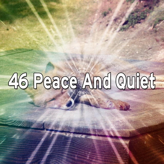 46 Peace And Quiet
