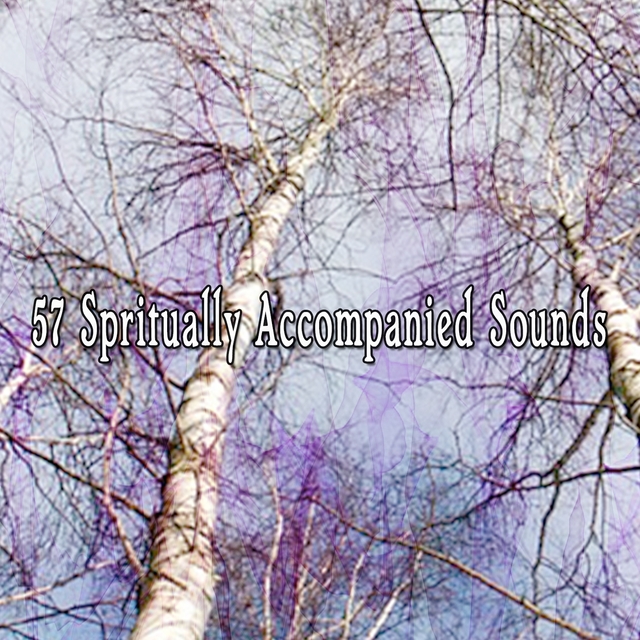 Couverture de 57 Spritually Accompanied Sounds