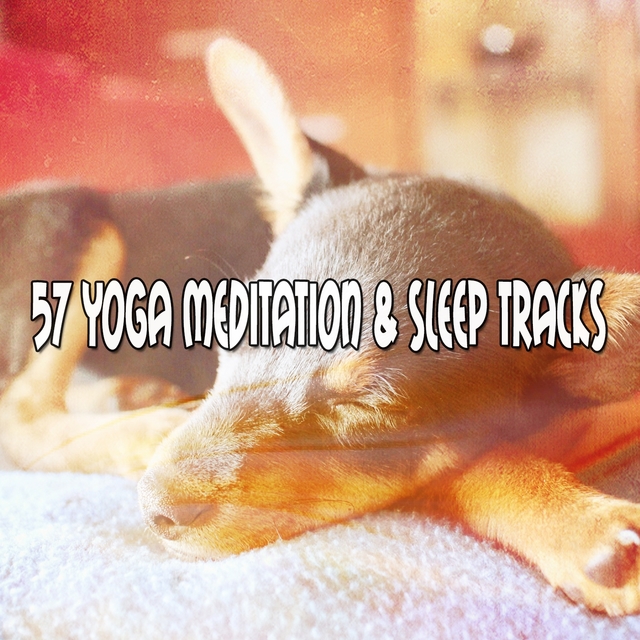 Couverture de 57 Yoga Meditation & Sleep Tracks