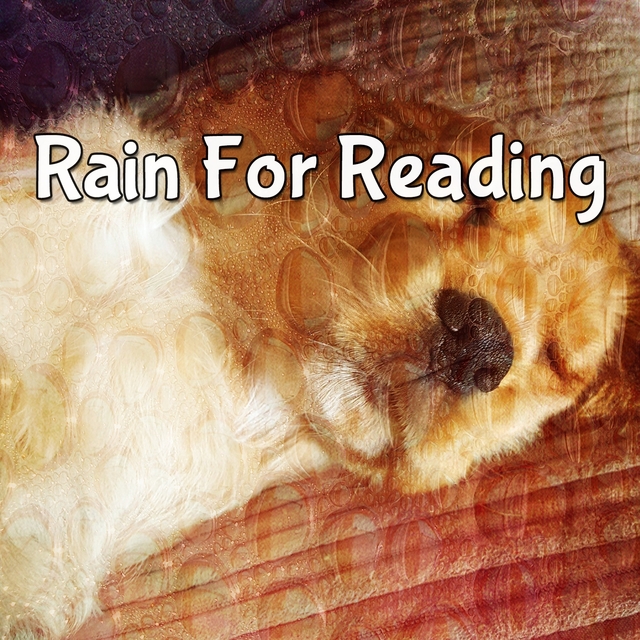 Couverture de Rain For Reading