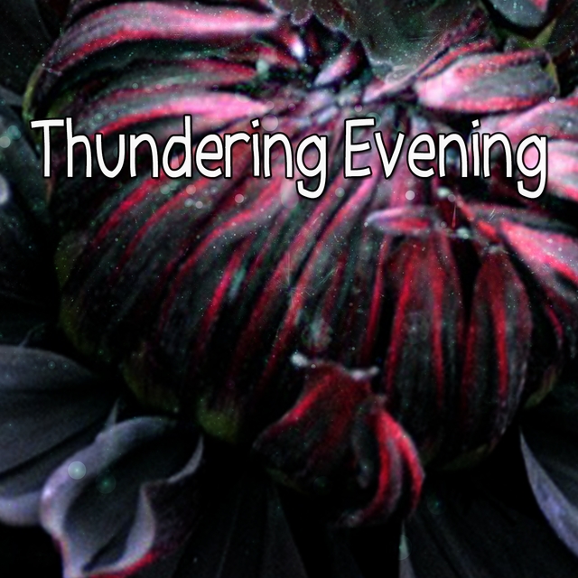Couverture de Thundering Evening