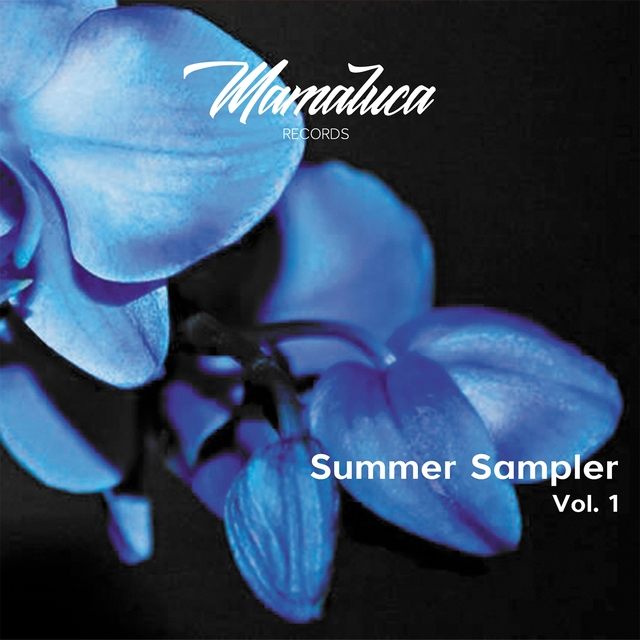 Couverture de Summer Sampler Vol. 1