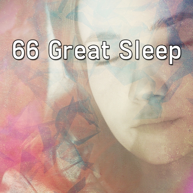 Couverture de 66 Great Sleep