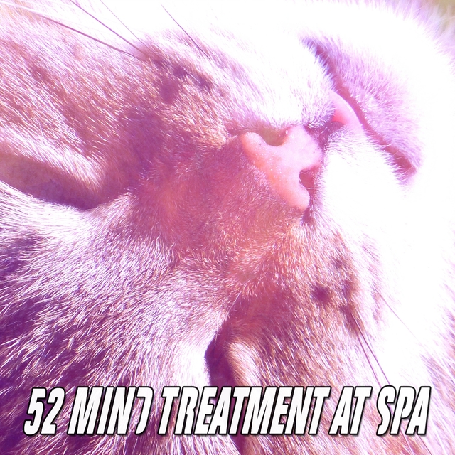 Couverture de 52 Mind Treatment At Spa