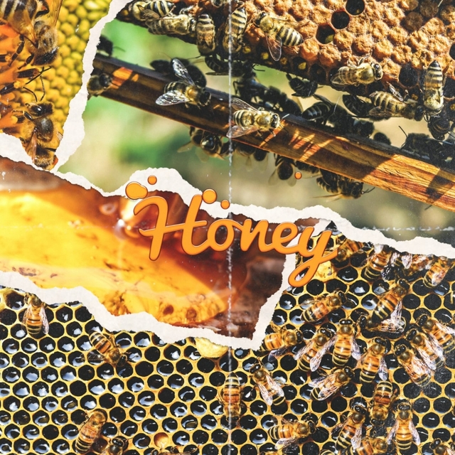 Couverture de Honey