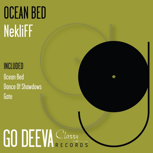 Couverture de Ocean Bed